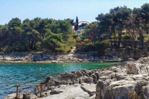 Apartments by the sea Jelsa, Hvar - 4621